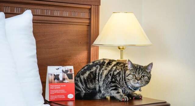 Гостиница Южный Волгоград-187